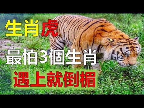 2023掩魂生肖|常見問題∣行天宮五大志業網